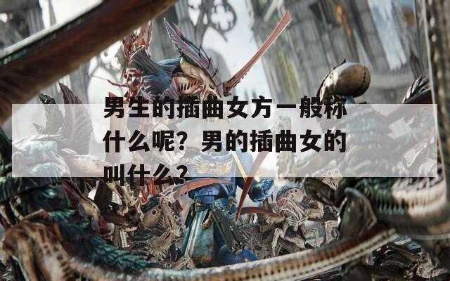 男生的插曲女方一般称什么呢？男的插曲女的叫什么？
