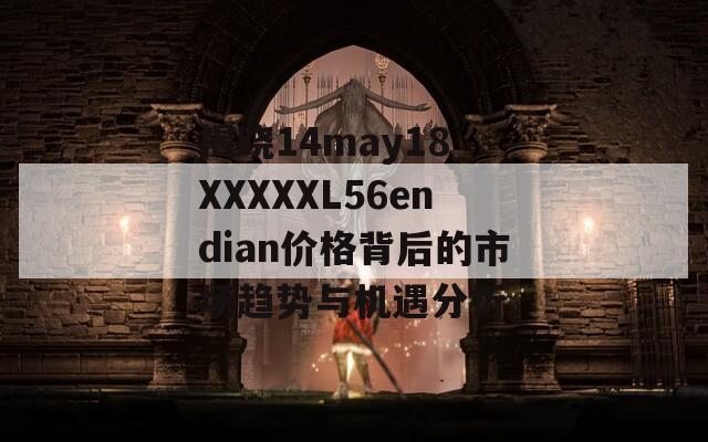 揭晓14may18_XXXXXL56endian价格背后的市场趋势与机遇分析