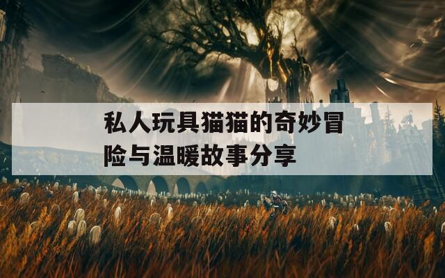 私人玩具猫猫的奇妙冒险与温暖故事分享