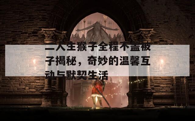 二人生猴子全程不盖被子揭秘，奇妙的温馨互动与默契生活