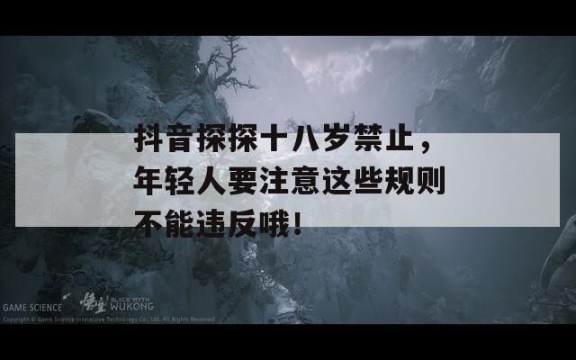 抖音探探十八岁禁止，年轻人要注意这些规则不能违反哦！