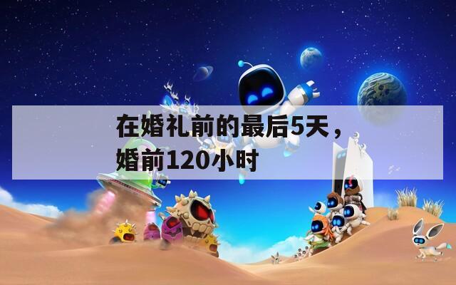 在婚礼前的最后5天，婚前120小时