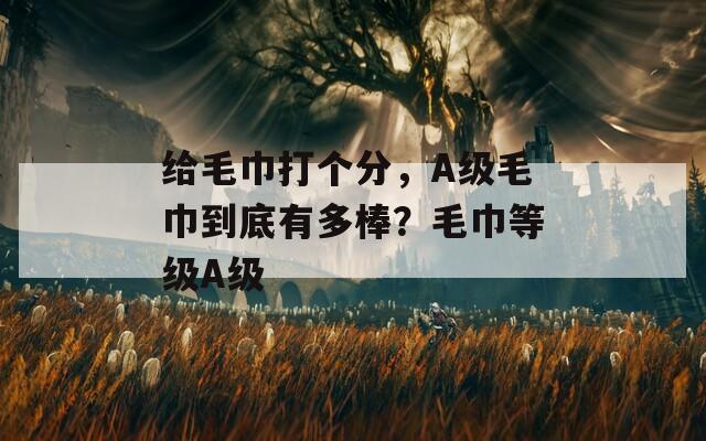 给毛巾打个分，A级毛巾到底有多棒？毛巾等级A级