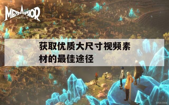 获取优质大尺寸视频素材的最佳途径