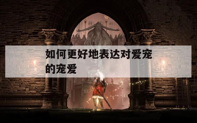 如何更好地表达对爱宠的宠爱