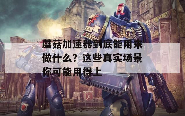 蘑菇加速器到底能用来做什么？这些真实场景你可能用得上