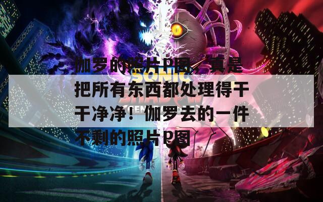 伽罗的照片P图，真是把所有东西都处理得干干净净！伽罗去的一件不剩的照片P图