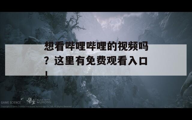 想看哔哩哔哩的视频吗？这里有免费观看入口！