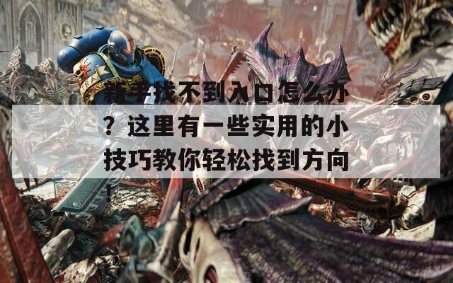 新手找不到入口怎么办？这里有一些实用的小技巧教你轻松找到方向！