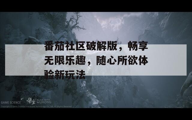番茄社区破解版，畅享无限乐趣，随心所欲体验新玩法