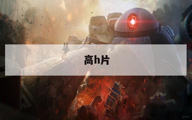高h片