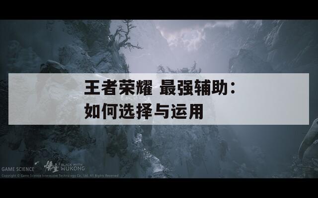 王者荣耀 最强辅助：如何选择与运用