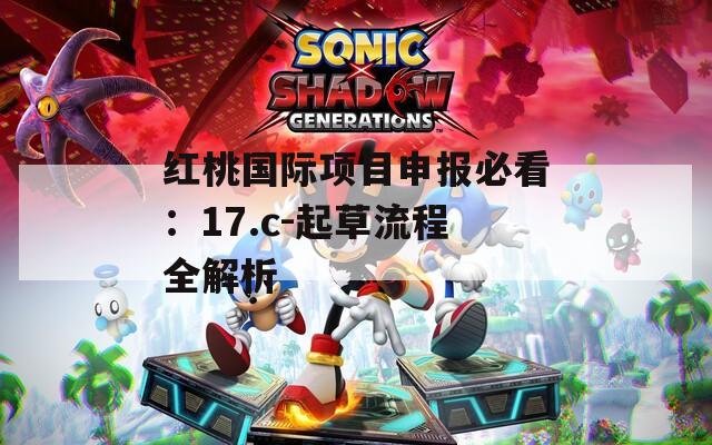 红桃国际项目申报必看：17.c-起草流程全解析