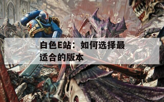 白色E站：如何选择最适合的版本