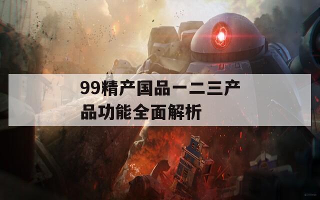 99精产国品一二三产品功能全面解析