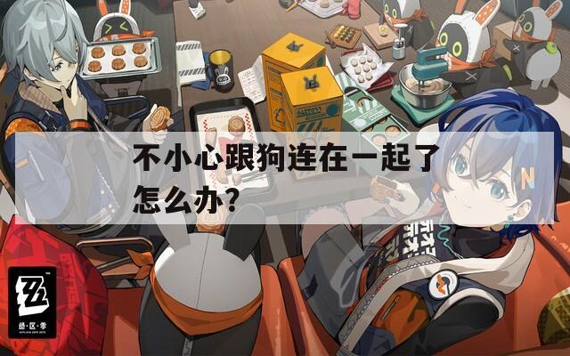 不小心跟狗连在一起了怎么办？