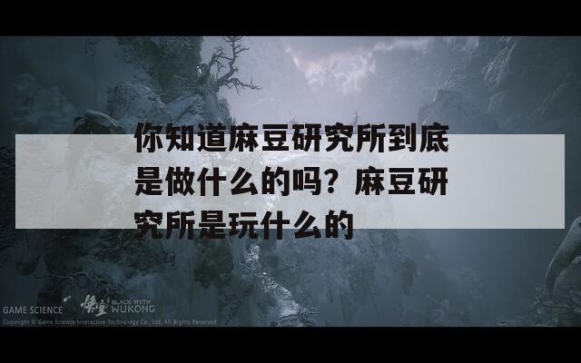 你知道麻豆研究所到底是做什么的吗？麻豆研究所是玩什么的