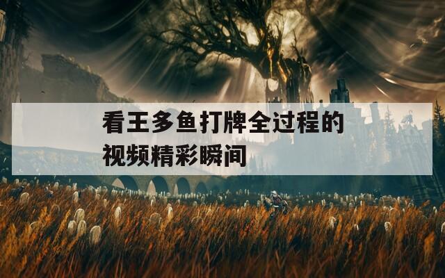 看王多鱼打牌全过程的视频精彩瞬间