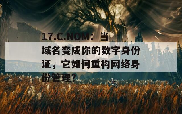 17.C.NOM：当域名变成你的数字身份证，它如何重构网络身份管理？