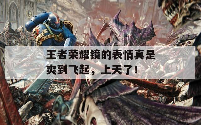 王者荣耀镜的表情真是爽到飞起，上天了！