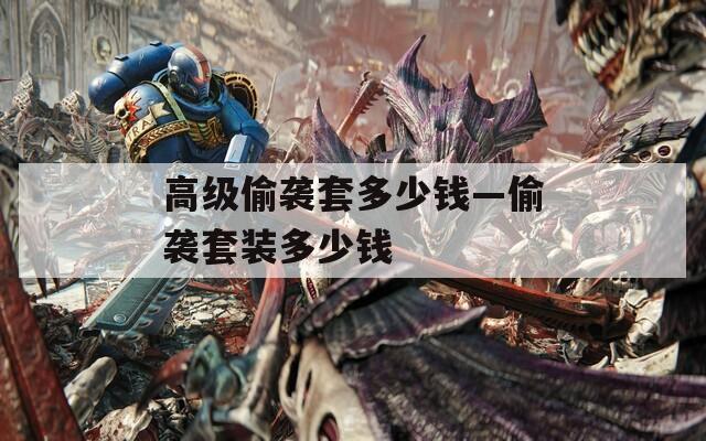 高级偷袭套多少钱—偷袭套装多少钱