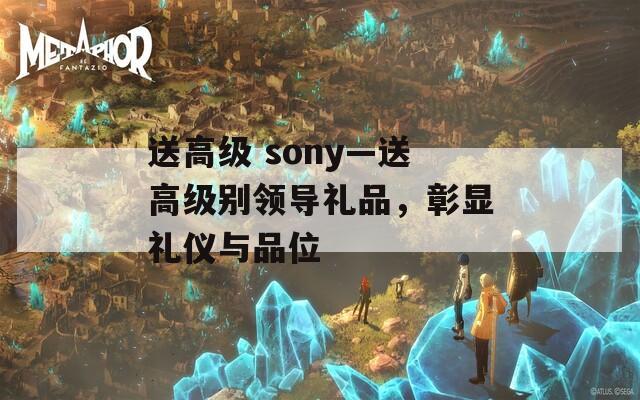 送高级 sony—送高级别领导礼品，彰显礼仪与品位