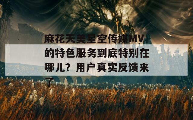 麻花天美星空传媒MV的特色服务到底特别在哪儿？用户真实反馈来了