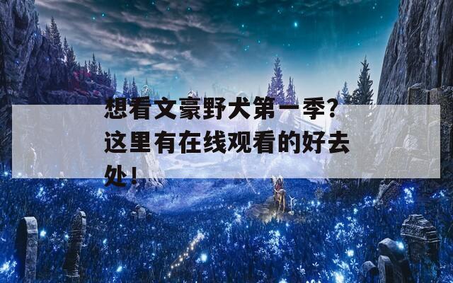 想看文豪野犬第一季？这里有在线观看的好去处！