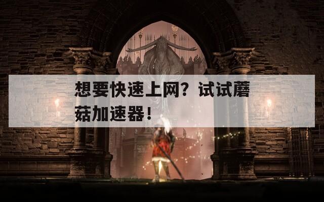 想要快速上网？试试蘑菇加速器！