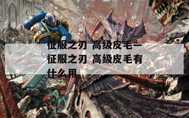 征服之刃 高级皮毛—征服之刃 高级皮毛有什么用