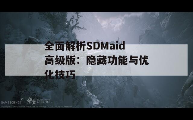 全面解析SDMaid高级版：隐藏功能与优化技巧