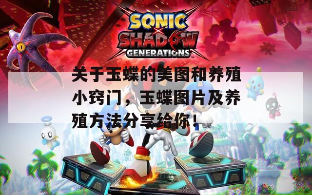 关于玉蝶的美图和养殖小窍门，玉蝶图片及养殖方法分享给你！