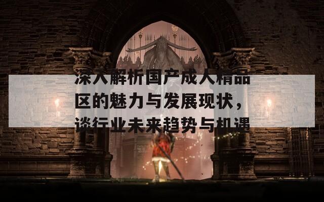 深入解析国产成人精品区的魅力与发展现状，谈行业未来趋势与机遇