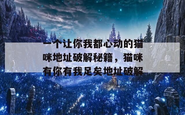 一个让你我都心动的猫咪地址破解秘籍，猫咪有你有我足矣地址破解