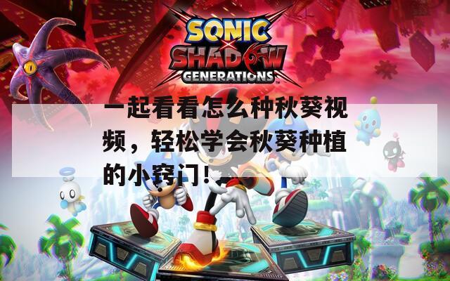 一起看看怎么种秋葵视频，轻松学会秋葵种植的小窍门！