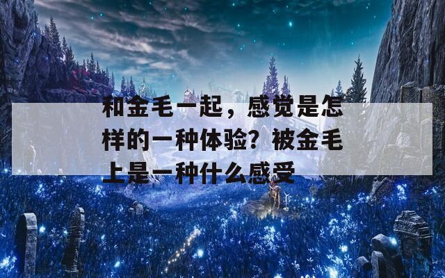 和金毛一起，感觉是怎样的一种体验？被金毛上是一种什么感受