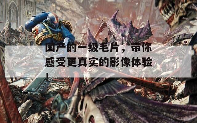 国产的一级毛片，带你感受更真实的影像体验！