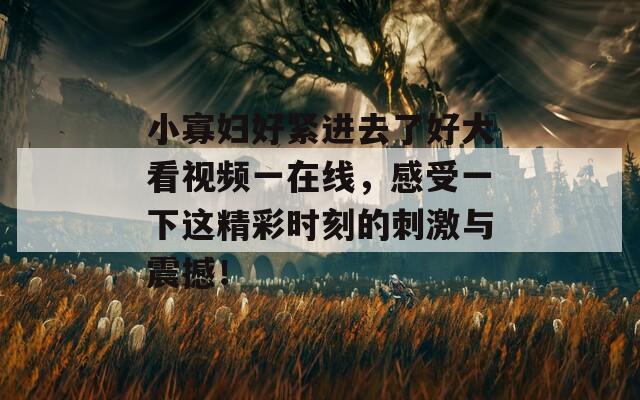 小寡妇好紧进去了好大看视频一在线，感受一下这精彩时刻的刺激与震撼！