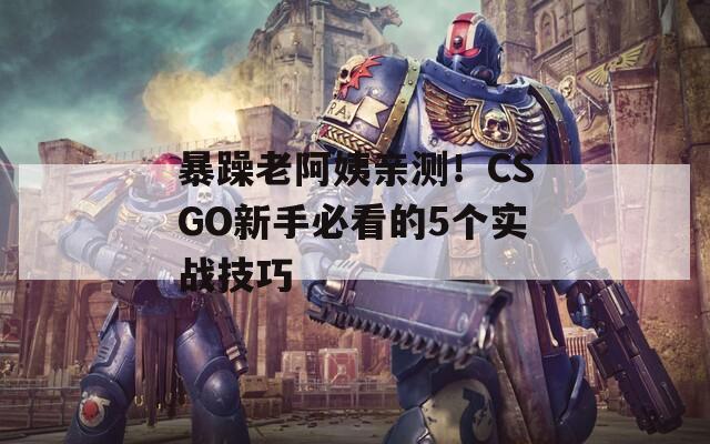 暴躁老阿姨亲测！CSGO新手必看的5个实战技巧