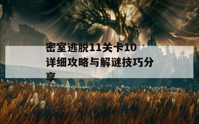 密室逃脱11关卡10详细攻略与解谜技巧分享