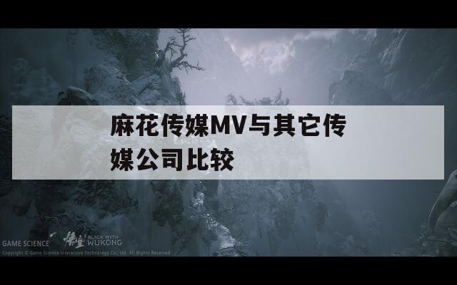 麻花传媒MV与其它传媒公司比较