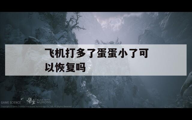 飞机打多了蛋蛋小了可以恢复吗