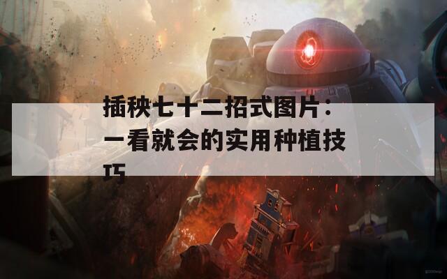 插秧七十二招式图片：一看就会的实用种植技巧