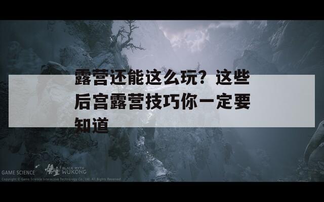 露营还能这么玩？这些后宫露营技巧你一定要知道