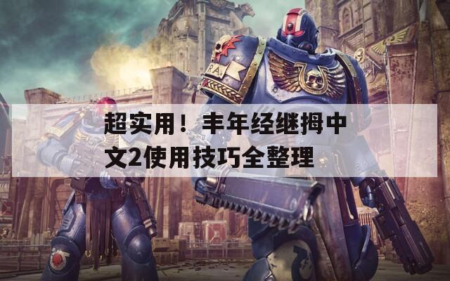 超实用！丰年经继拇中文2使用技巧全整理