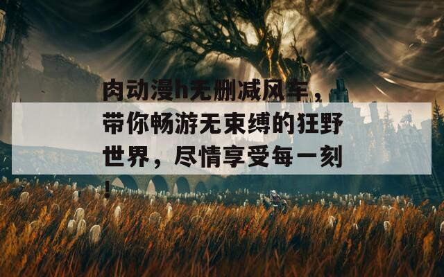 肉动漫h无删减风车，带你畅游无束缚的狂野世界，尽情享受每一刻！